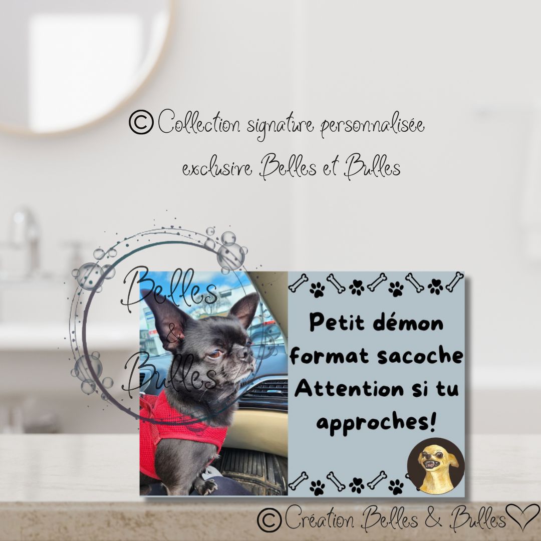 Quelques exemples de modèles réalisés pour des clients